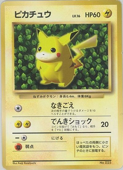 ポケカ】ピカチュウ LV.16 (すぐわかるポケモンカードの遊び方) PROMO