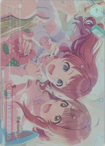 お姉ちゃんに任せなさい！