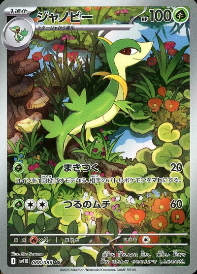 【BW御三家】ツタージャ　ジャノビー　ポカブ　ダイケンキ　AR ポケカ】ジャノビー AR の買取価格 | トレトク【公式】