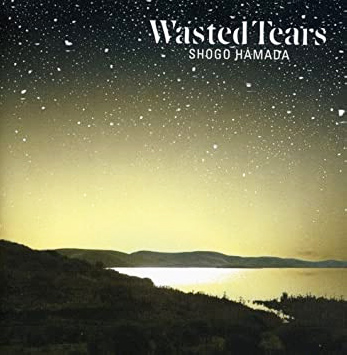 浜田省吾 「Wasted Tears」(28AH-5269)
