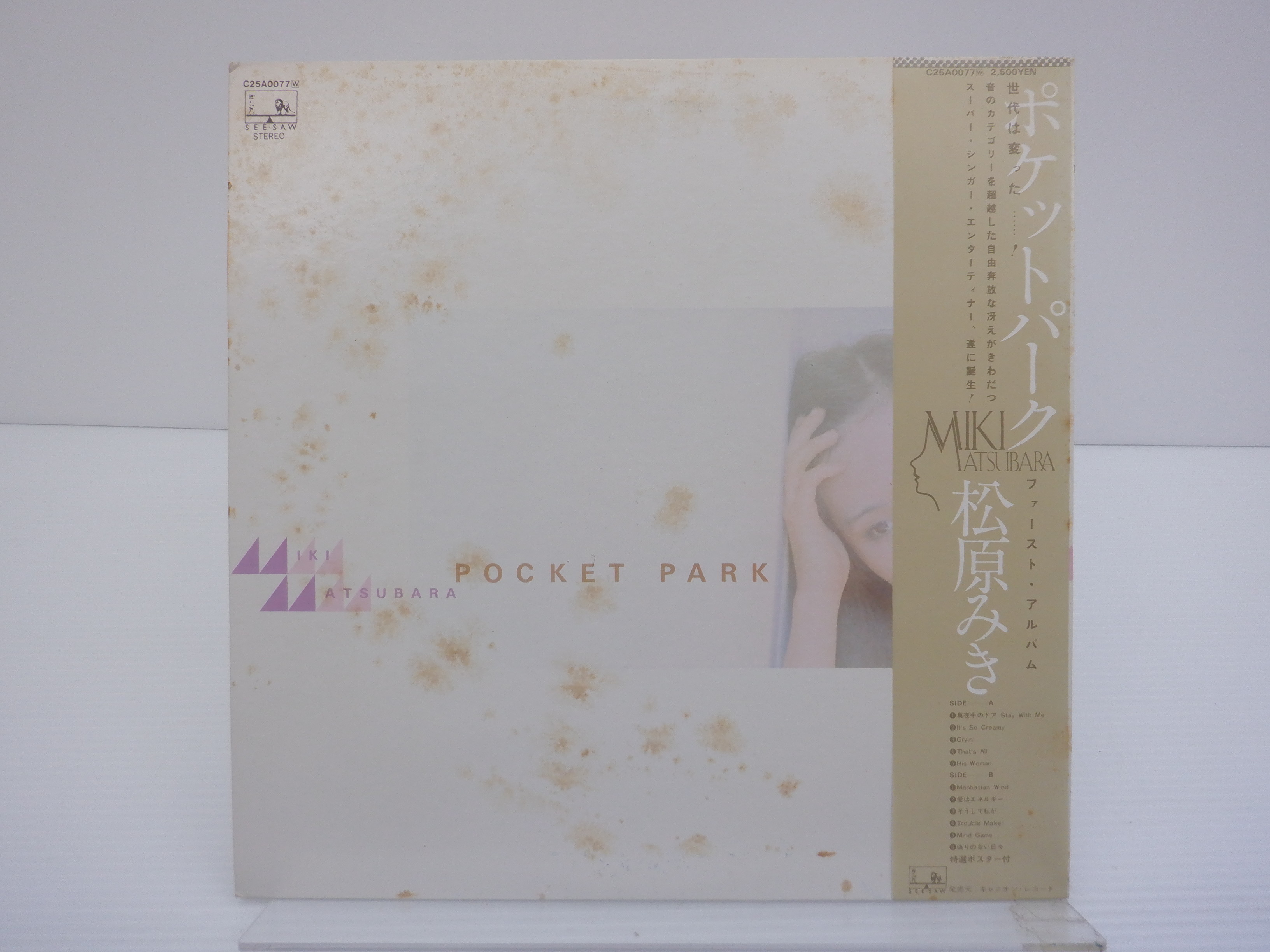 LP 松原みき Pocket Park C25A0077 CANYON /00260