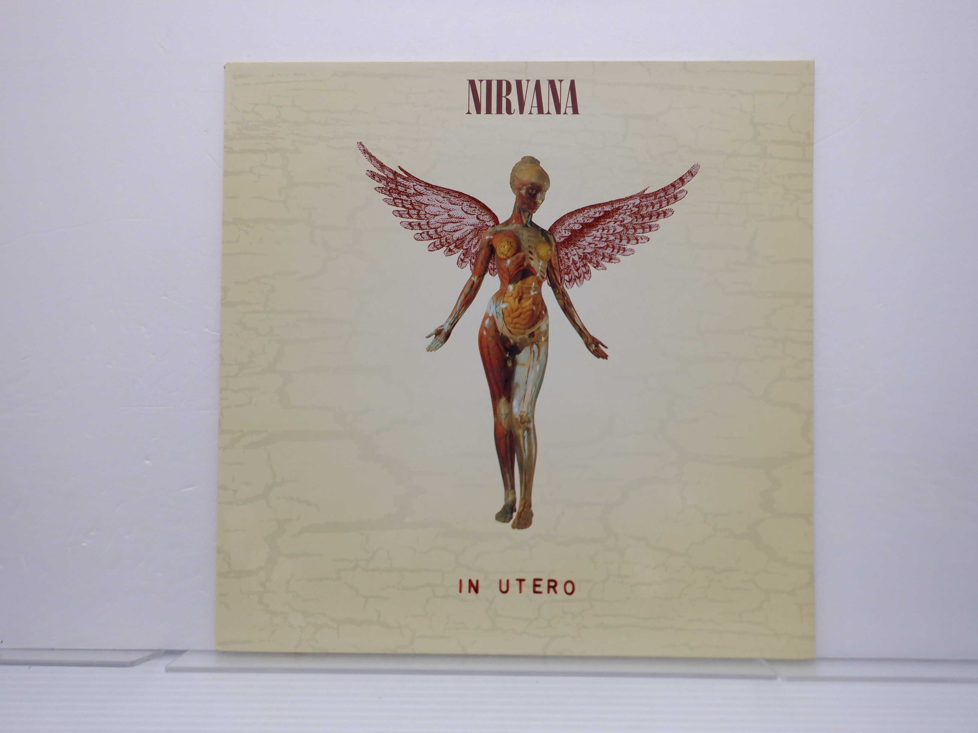 EU盤】Nirvana(ニルヴァーナ)「In Utero(イン・ユーテロ)」LP